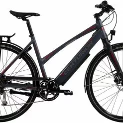 Centurion Zero E Connect+ Alivio Dame 9g Disc