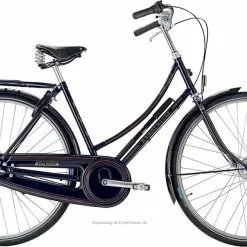 Raleigh Tourist De Luxe Da 3g/7g Kongeblå
