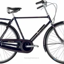 Raleigh Tourist De Luxe Hr 3g/7g Kongeblå