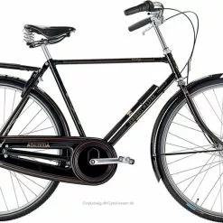 Raleigh Tourist De Luxe Hr 3g/7g Sort