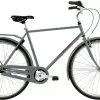 Raleigh Darlington Herre 3g Fodbremse -Elcykler Salg raleigh darlington herre nexus 7g fod blank graa elcykelsalg