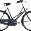 Raleigh Tourist De Luxe Dame 7g Gråblå -Elcykler Salg raleigh tourist de luxe dame nexus 7g graablaa elcykelsalg