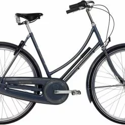 Raleigh Tourist De Luxe Dame 7g Gråblå