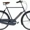 Raleigh Tourist De Luxe Herre 7g Gråblå -Elcykler Salg raleigh tourist de luxe herre nexus 7g graablaa elcykelsalg